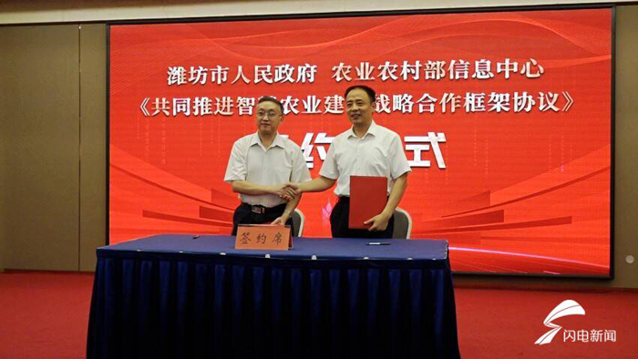 ob电竞·(中国游)电子竞技平台