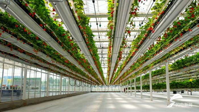 ob电竞·(中国游)电子竞技平台