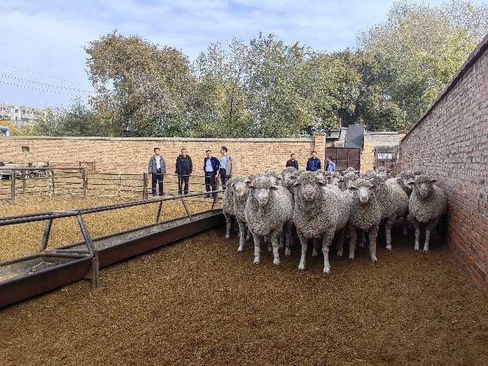 ob电竞·(中国游)电子竞技平台